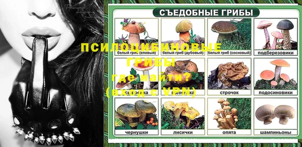 круглые Алзамай
