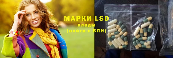 шишки Лагань