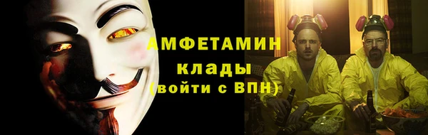 прущие грибы Абаза