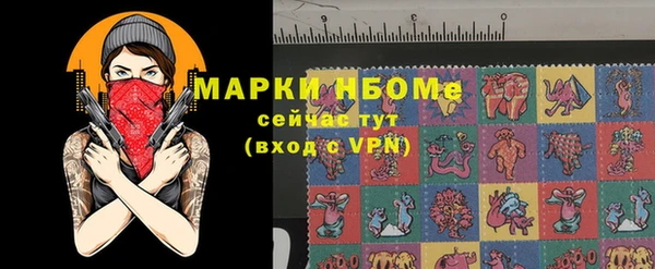 прущие грибы Абаза