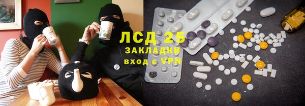 прущие грибы Абаза